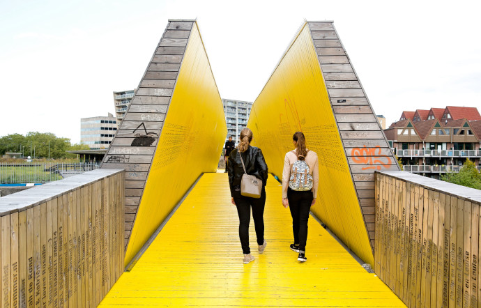 Pont Luchtsingel à Rotterdam