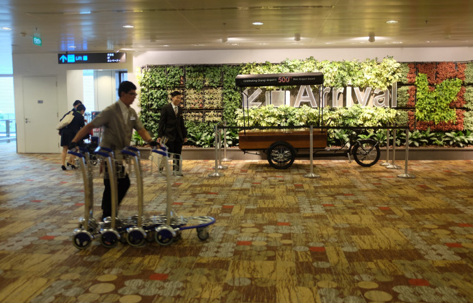 L’AÉROPORT CHANGI MISE TOUT SUR SON ENVIRONNEMENT « NATUREL » AFIN D’OFFRIR AUX VOYAGEURS UN MOMENT DE DÉTENTE ABSOLUE.