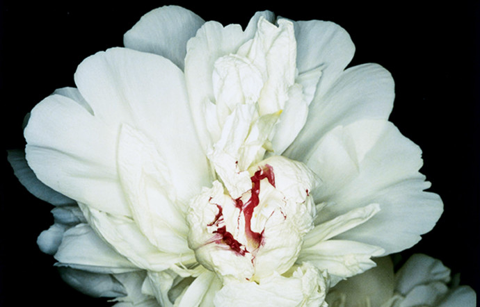 Shijyo Tokyo, Nobuyoshi Araki, 1996.