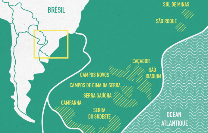 Vignobles, un futur eldorado