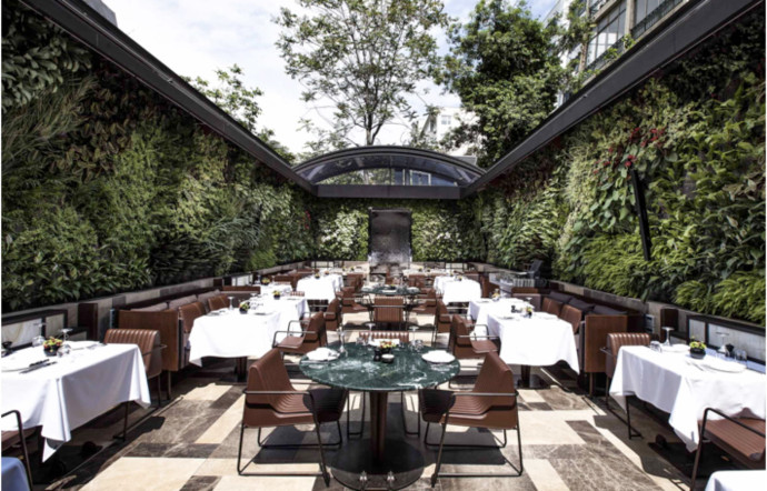 Nopa, Istanbul