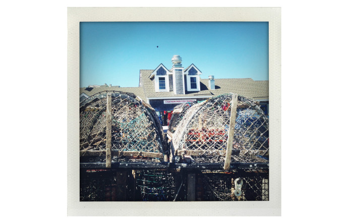 Cape Cod.
