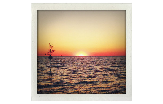 Cape Cod.