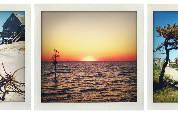 Cape Cod, la grosse aventure