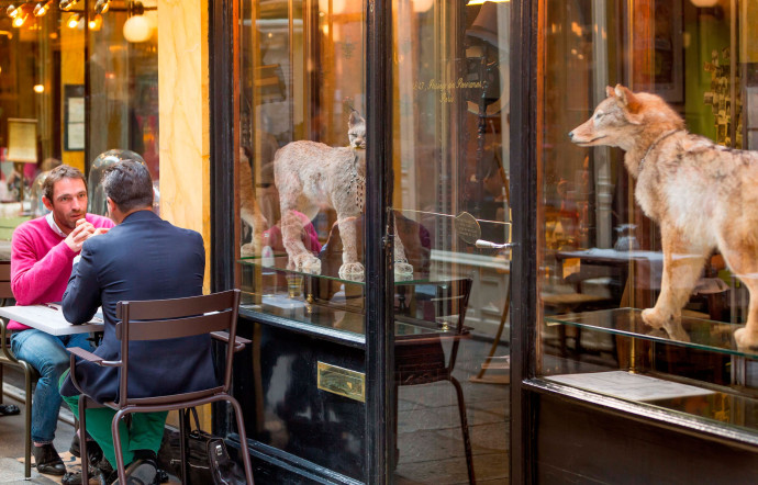 Le Caffé Stern