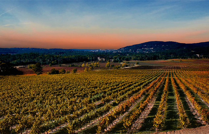Le Château Roubine, dans le Var, est l’un des vignobles français les plus anciens.