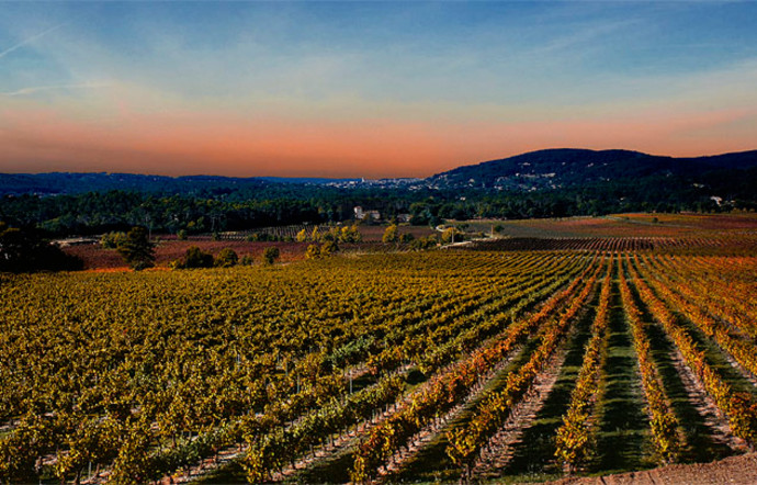 Château Roubine, Var