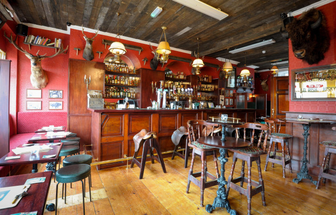 Bison, Dublin
