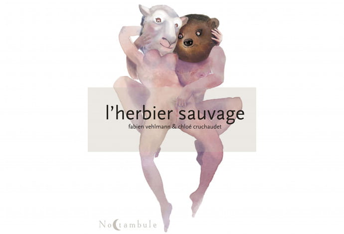 Herbier sauvage 