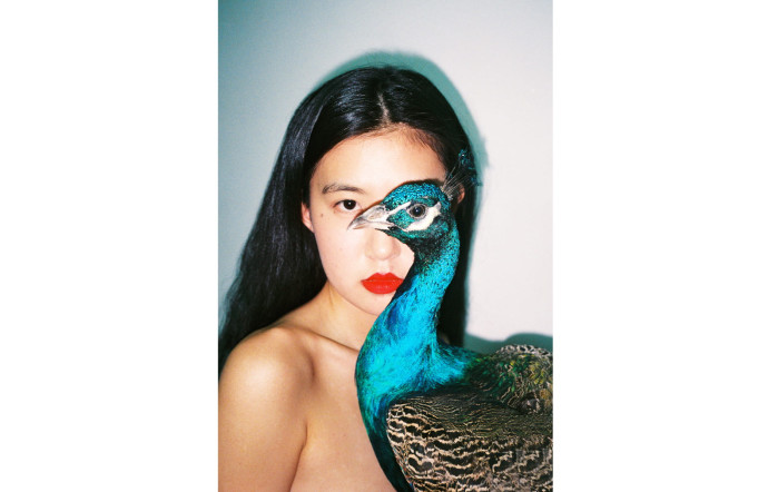 Untitled, 2016.