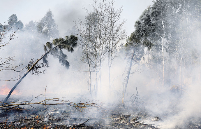 «Incendio III», Pierre Gonnord, 2009.