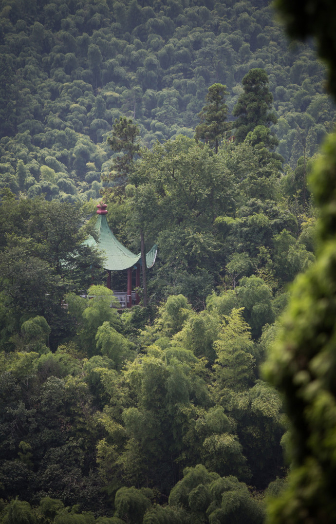 Admirer les centaines de villas que recèle le mont, dont une poignée seulement est de style chinois.