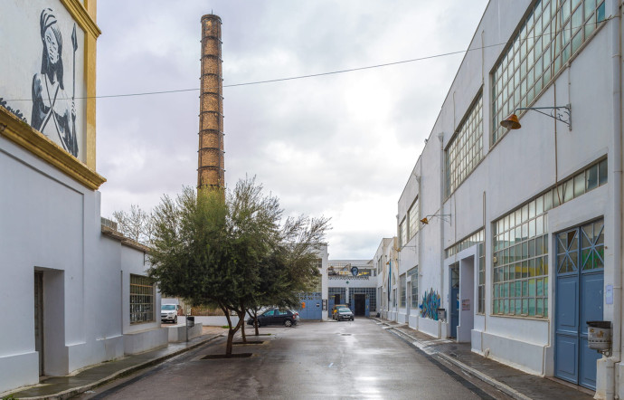 L’Athens School Of Arts (ASFA), l’un des centres névralgiques de l’exposition documenta 14.
