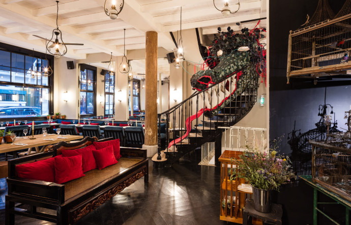 Bambou, Paris.
