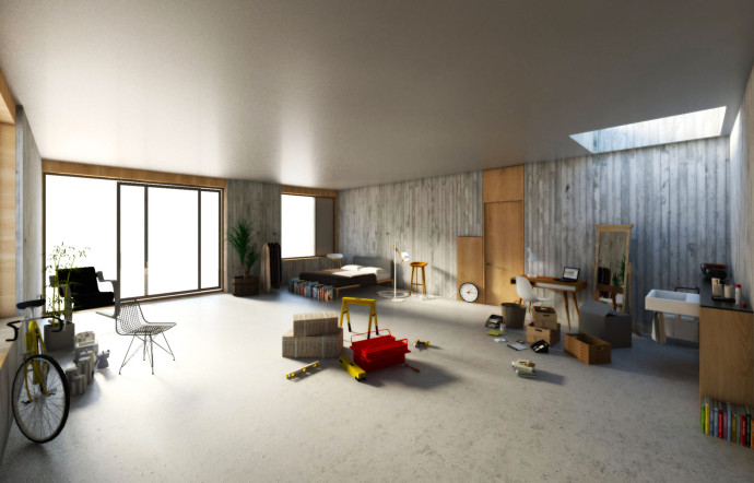 Naked House