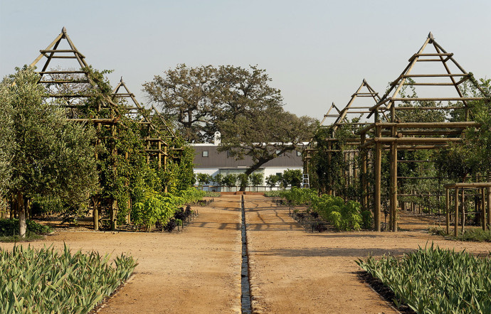 Le verger et le potager de Babylonstoren s’étendent sur 3,5 ha.