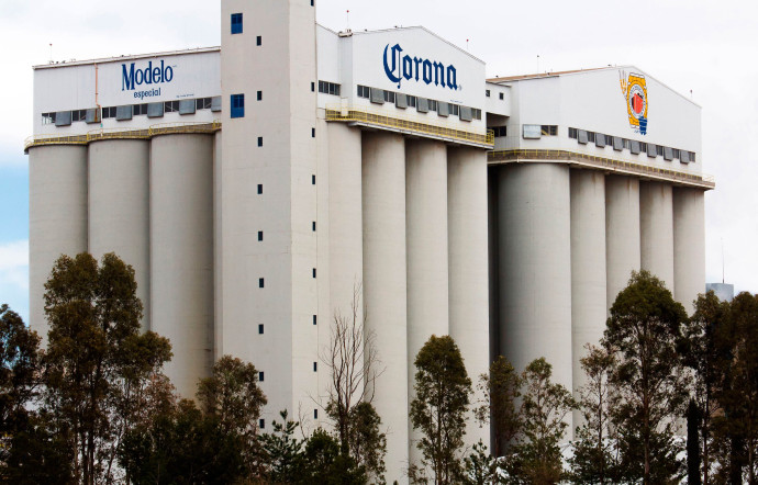 Les tonnes de malt sont entreposées dans 36 silos avant d’être acheminées jusqu’à la distillerie.