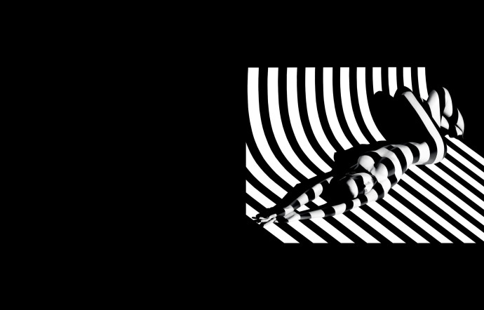 « Zebra 17 », Paris Studio, June 1988.