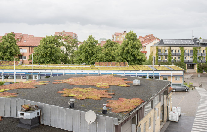 Les toits végétalisés des locaux municipaux, Malmö.