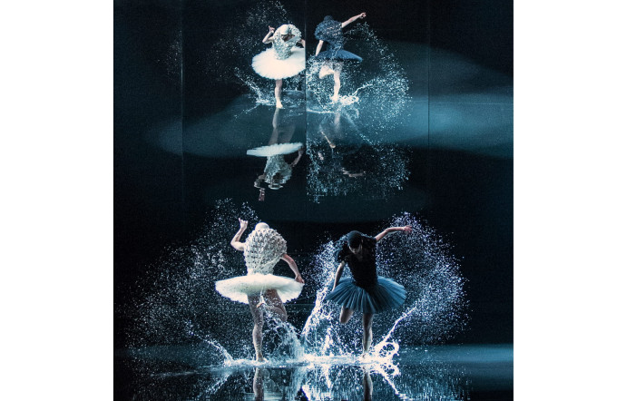 « A Swan Lake » au théâtre des Champs-Elysées en mars 2017.
