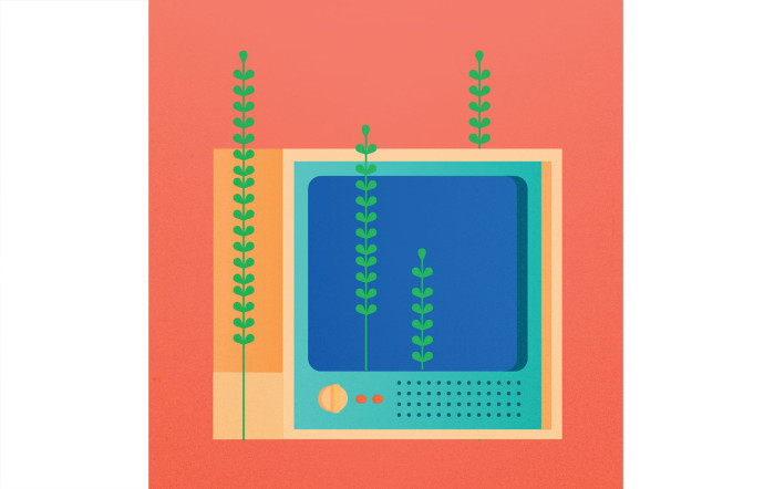 La télévision.