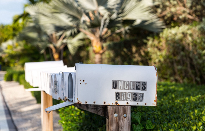 La végétation tropicale offre un cadre de vie idyllique. Key West est une splendeur, avec ses maisons en bois flanquées de gigantesques palmiers ou de bougainvillées.