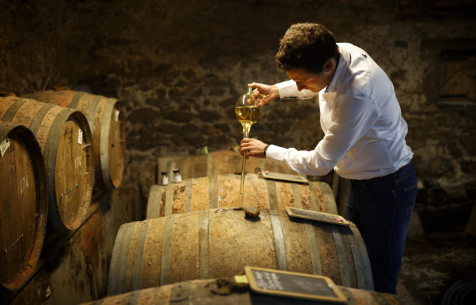 Distillerie Mr Balthazar.