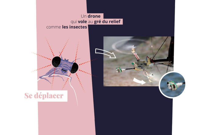 Fin 2016, le CNRS a exposé dans la station Montparnasse-Bienvenüe les travaux de chercheurs en nouvelles technologies prenant « Le vivant comme modèle ».