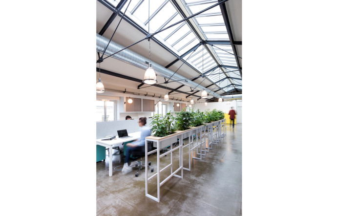 Le dernier étage, sous la verrière, un open-space où les fondateurs de Deskopolitan ont installé leurs bureaux, et voisinent avec leurs clients.