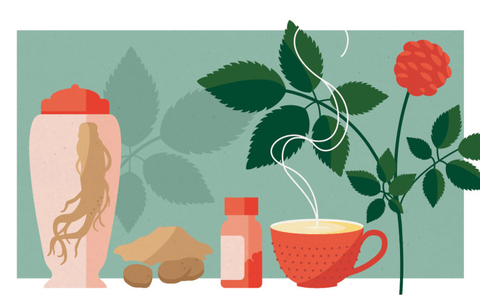Ginseng, source vitale ? - The Good Pills