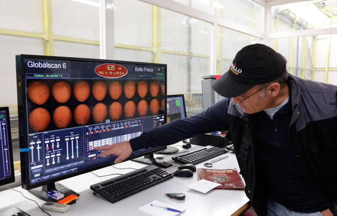 Chaque orange est photographiée sous tous les angles, identifiée et classifiée par l’ordinateur.