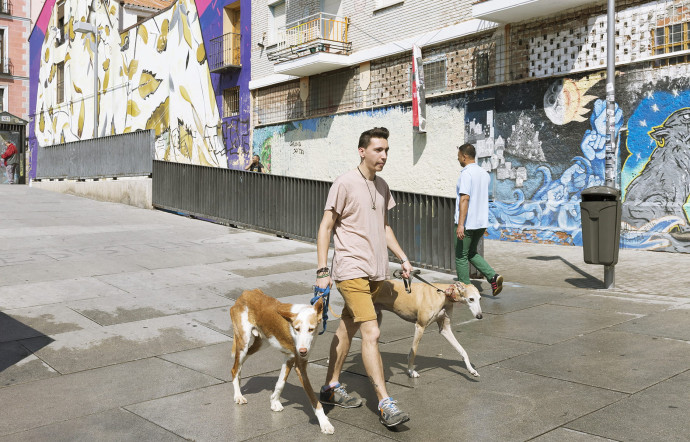 La ville compte de nombreux quartiers authentiques et vivants, à l’instar de Malasaña ou de La Latina, un barrio en plein centre qui regorge de bars et de restaurants.