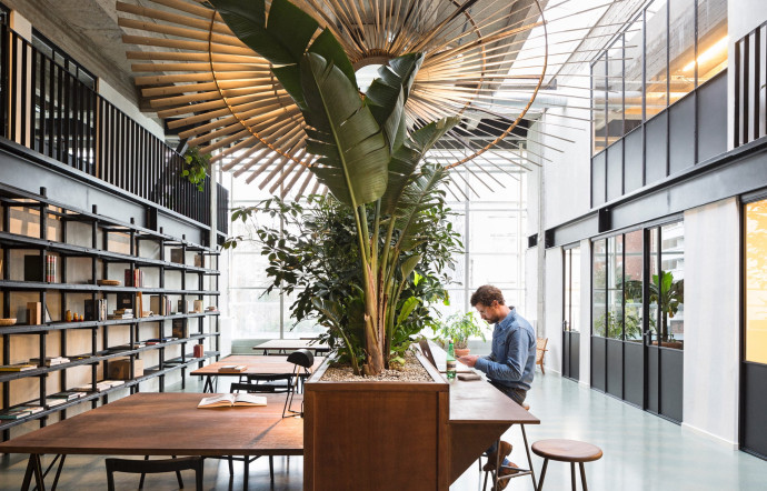 Le premier espace Fosbury & Sons à Anvers, ouvert en décembre 2016.