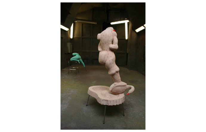 Proberen De Goede Ganzenhouder Te Zijn, Anton Cotteleer, 2012.