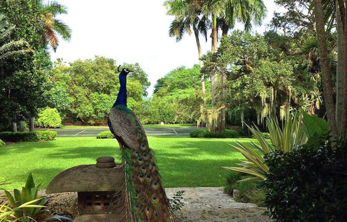 4013 South Douglas Road. Tél. +1 (302) 442-7169. www.ntbg.org