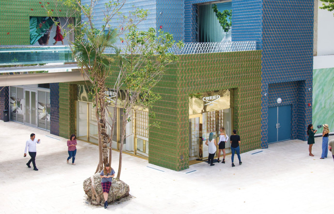 Tolila+Gilliland, Paradise Plaza.