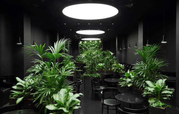 numerisation-tgl-37-salons-et-lounge-zoom-insert-6
