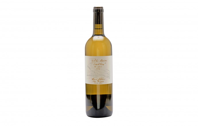 numerisation-tgl-38-fully-vin-suisse-vins-blancs-insert-04-henri-valloton