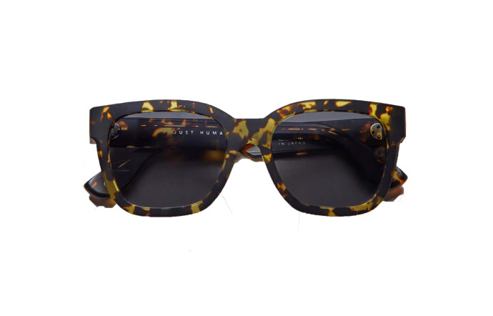 Just Human, 260 $.