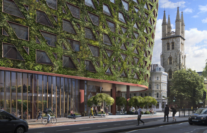 city-hotel-plantes-insert-03