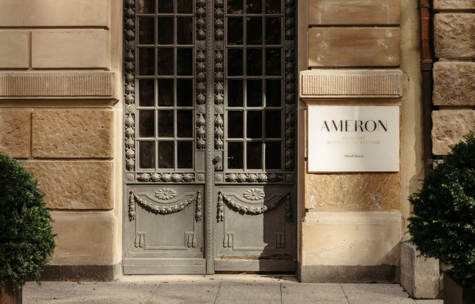 ameron-francfort-insert-02