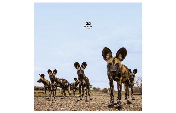 Fever, Balthazar (Munich Records) – The Good Playlist 100 % Belgique