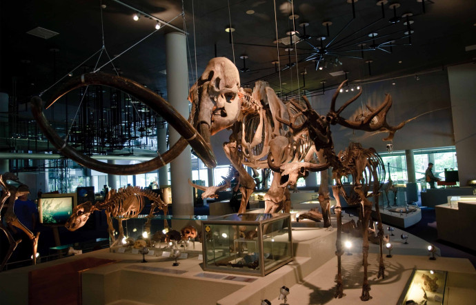 Darwinweg 2, Leiden. Tél. +31 (0)71 751 9600. www.naturalis.nl – Rotterdam avec quelques heures de plus
