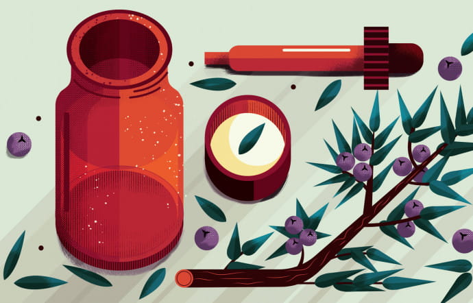 Genévrier, le buisson âpre ennemi des calculs - The Good Pills