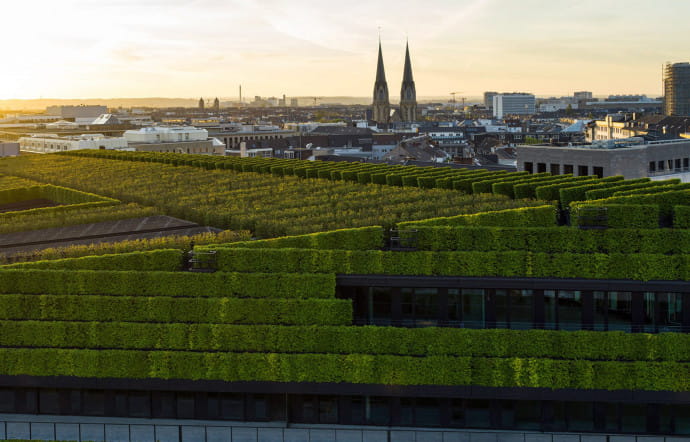 dusseldorf-architecture-immeuble-bureaux-facade-vegetalisee-insert-03