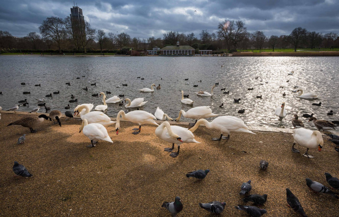 Hyde Park, City of Westminster.