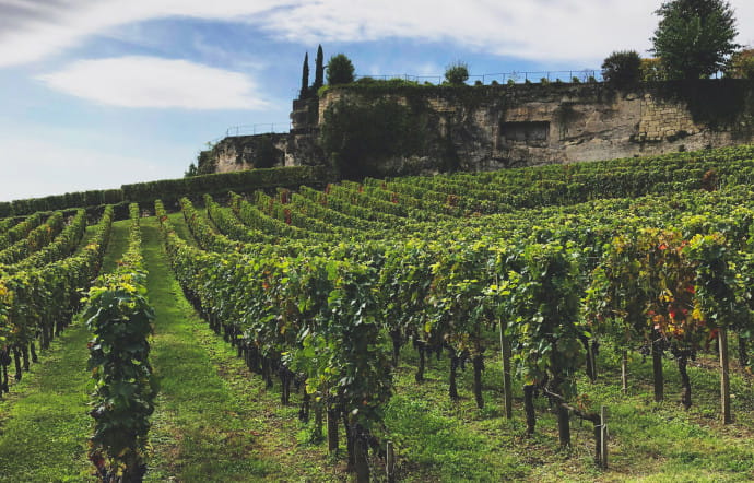 Best-of été 2020 : les 10 articles vins favoris des goodlifers