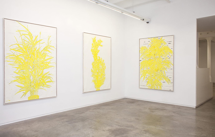 Exposition Nature is an Experiment d’Ania Soliman à la galerie Angels, en 2019.