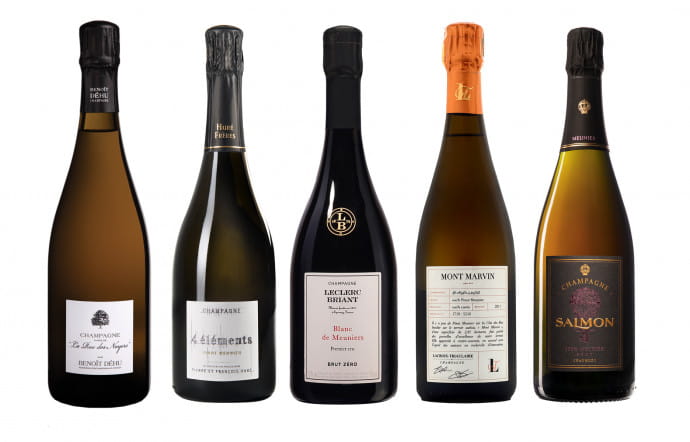 champagnes-pinot-meunier-2020-noel-1-56
