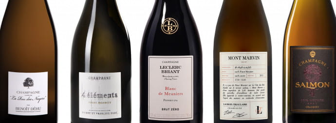 champagnes-pinot-meunier-2020-noel-2-77